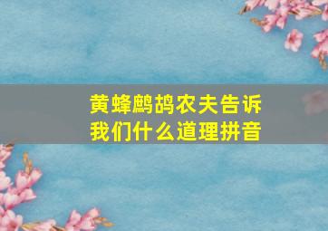 黄蜂鹧鸪农夫告诉我们什么道理拼音