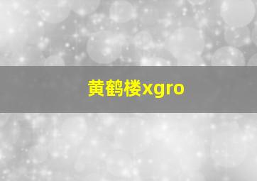 黄鹤楼xgro