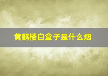 黄鹤楼白盒子是什么烟