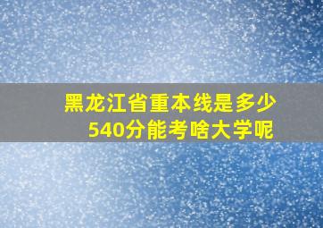 黑龙江省重本线是多少540分能考啥大学呢