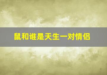 鼠和谁是天生一对情侣