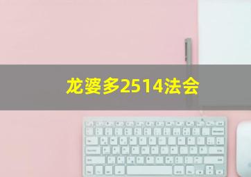 龙婆多2514法会