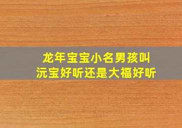 龙年宝宝小名男孩叫沅宝好听还是大福好听