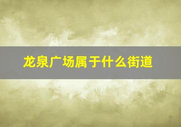 龙泉广场属于什么街道