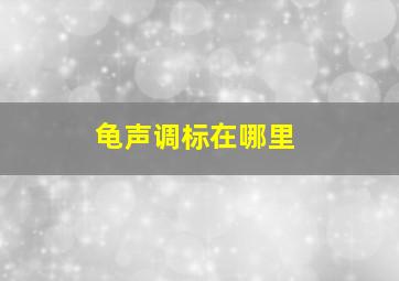 龟声调标在哪里